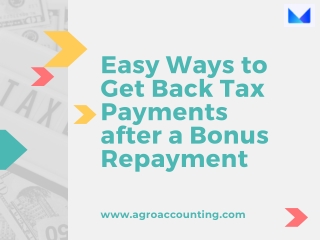 Easy Ways to Get Back Tax Payments after a Bonus Repayment