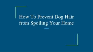 How To Prevent Dog Hair from Spoiling Your Home