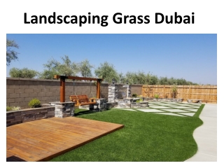 Artificial Lawn in Dubai