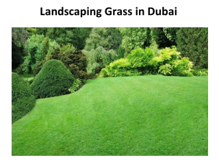 Landscaping Grass in Dubai