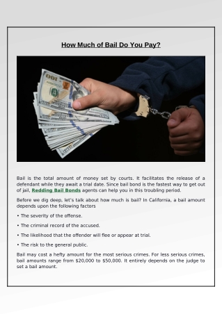 What Variables Influence the Amount of Bail?