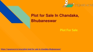 Land For Sale In Chandaka, Bhubaneswar ( 91-720-564-8119)