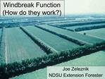 Windbreak Function How do they work