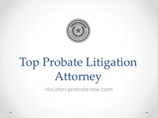 Top Probate Litigation Attorney - www.houston-probate-law.com