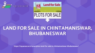 Land for Sale in Chintamaniswar, Bhubaneswar