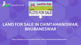 Buy a plot at the best price in Chintamaniswar, Bhubaneswar