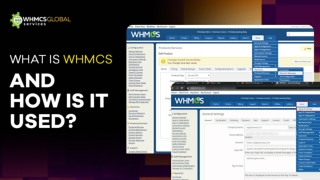 IntroductioWhat is WHMCS and How is it used?n