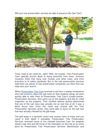 Will your tree preservation services be able to preserve my oak tree-converted