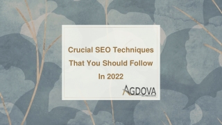 Crucial SEO Techniques That You Should Follow In 2022