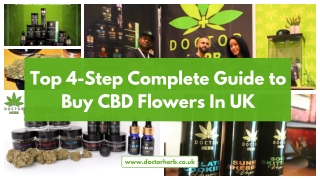 Top 4-Step Complete Guide to Buy CBD Flowers In UK - Doctor Herb