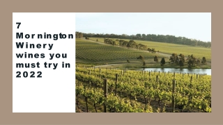 7 Mornington Winery wines you must try in 2022-converted