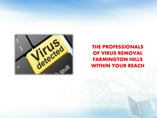 THE PROFESSIONALS OF VIRUS REMOVAL FARMINGTON HILLS WITHIN YOUR REACH