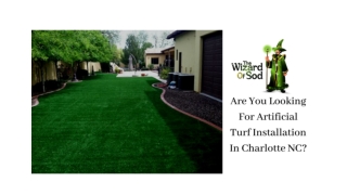 Are You Looking For Artificial Turf Installation In Charlotte NC