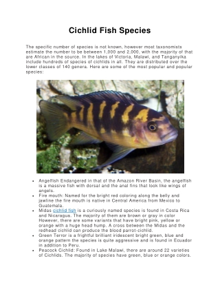 Cichlid Fish Species