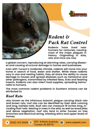 Tucson Scorpion Control | Tucson Wasp Control