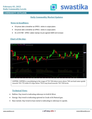 Commodity daily levels (03-Feb.)