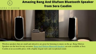 Amazing Bang And Olufsen Bluetooth Speaker from Sera Casdim