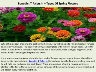 Benedict T Palen Jr. – Types Of Spring Flowers