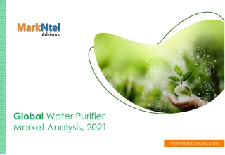Global Water Purifiers Market Research Report: Forecast (2021-2026)