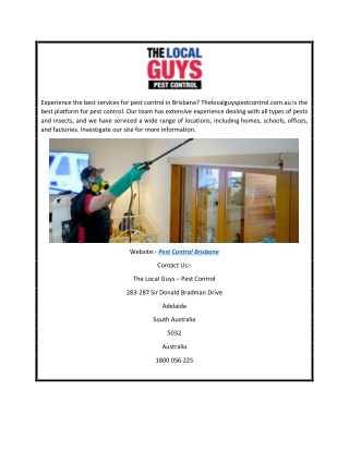 Pest Control Brisbane  Thelocalguyspestcontrol.com.au