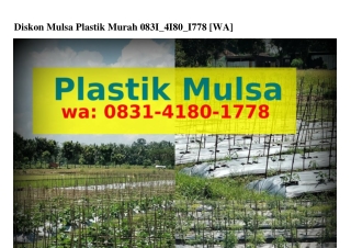 Diskon Mulsa Plastik Murah O8౩l-Ꮞl8O-lᜪᜪ8(WA)