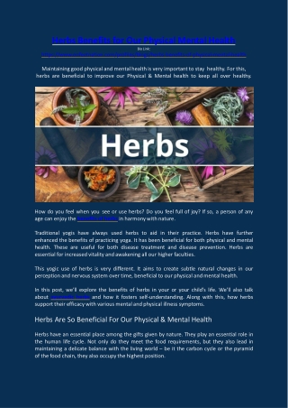 Herbs Benefits for Our Physical Mental Health