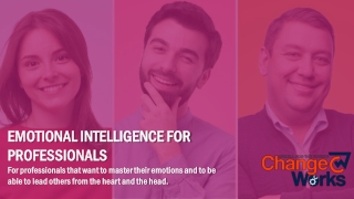 Emotional Intelligence for Professionals