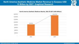 North America Aesthetic Medicine Market