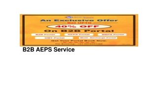 B2B AEPS service