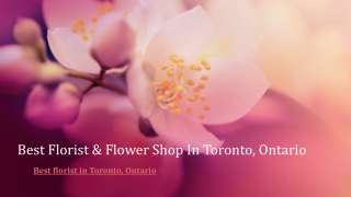 Best florist in Toronto, Ontario
