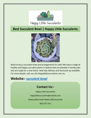 Best Succulent Bowl | Happy Little Succulents