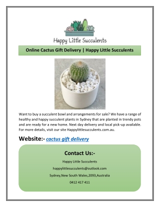 Online Cactus Gift Delivery | Happy Little Succulents