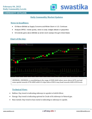 Commodity daily levels (04-Feb.)