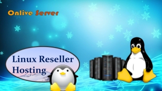 Make your Business Advance with Linux Reseller Hosting by Onlive Server