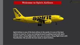 Amazing Spirit Airlines Flight Deals  1-866-579-8033