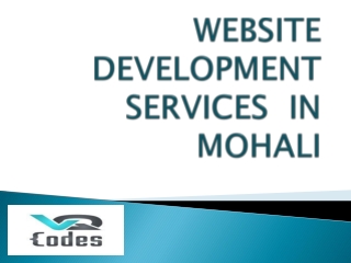 Website  Development Services in Mohali