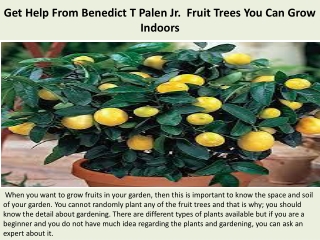 Get Help From Benedict T Palen Jr.  Fruit Trees You Can Grow Indoors