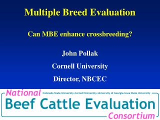 Multiple Breed Evaluation Can MBE enhance crossbreeding?