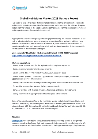 2021 Hub Motor Industry Global Analysis Report