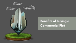 Benefits of Buying a Commercial Plot