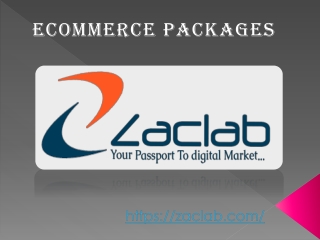 Ecommerce Packages