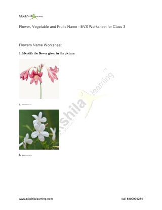Flower, Vegetable and Fruits Name - EVS Worksheet for Class 3