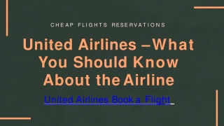 United Airlines – What You Should Know About the Airline