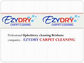 Professional Upholstery cleaning Brisbane companies - Ezydry