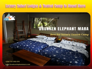 Luxury Safari Lodges & Tented Camp in Masai Mara