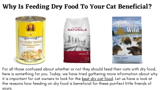 Why Is Feeding Dry Food To Your Cat Beneficial by Down Town Tabby Pet Store