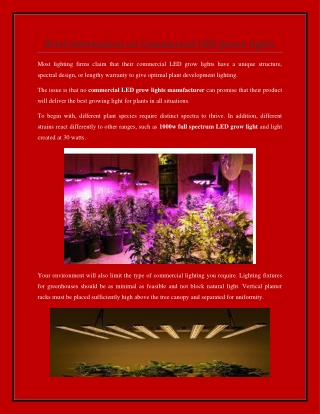 What is veg led grow light?