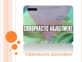 Chiropractic Adjustment That The Spine Loves