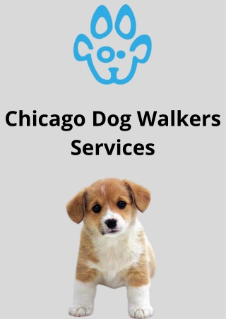 Chicago Dog Walkers Services