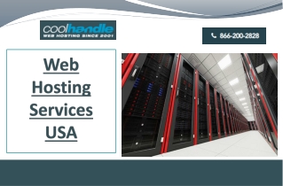Web Hosting Services USA